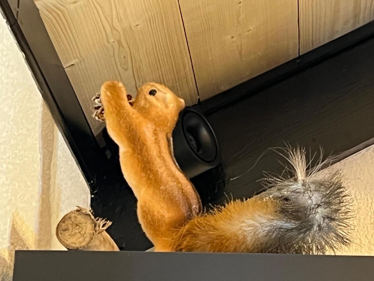 Chalet De L Ours Bolquère 외부 사진